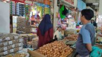 harga telur