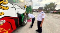 cek bus nataru