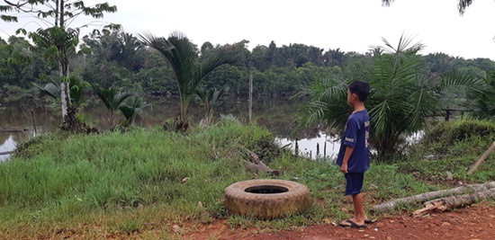 BUAYA LUWUK BUNTER