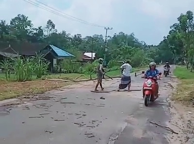 celaka