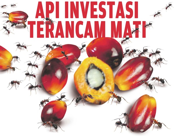 investasi