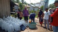 bantuan bibit ikan