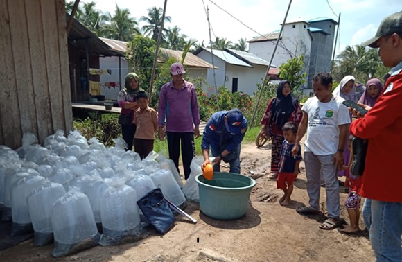 bantuan bibit ikan