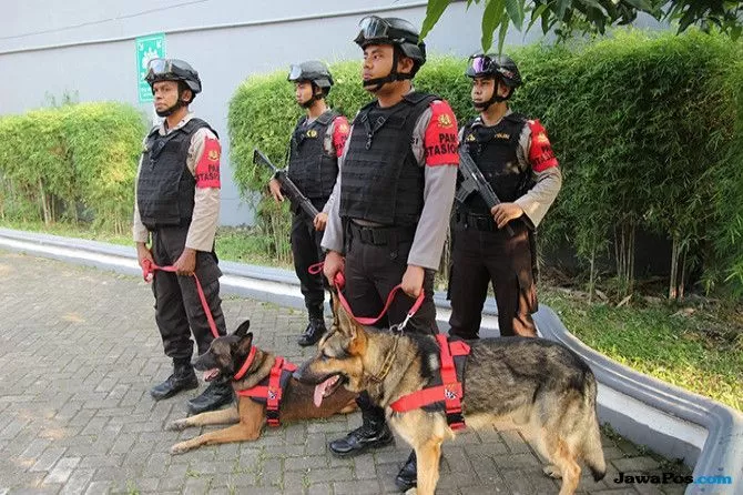 unit K9