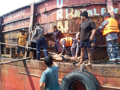kecelakaan kerja