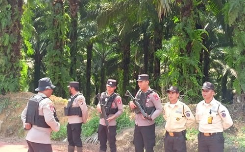 PATROLI SAWIT patroli sawit