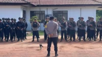 penjarahan sawit