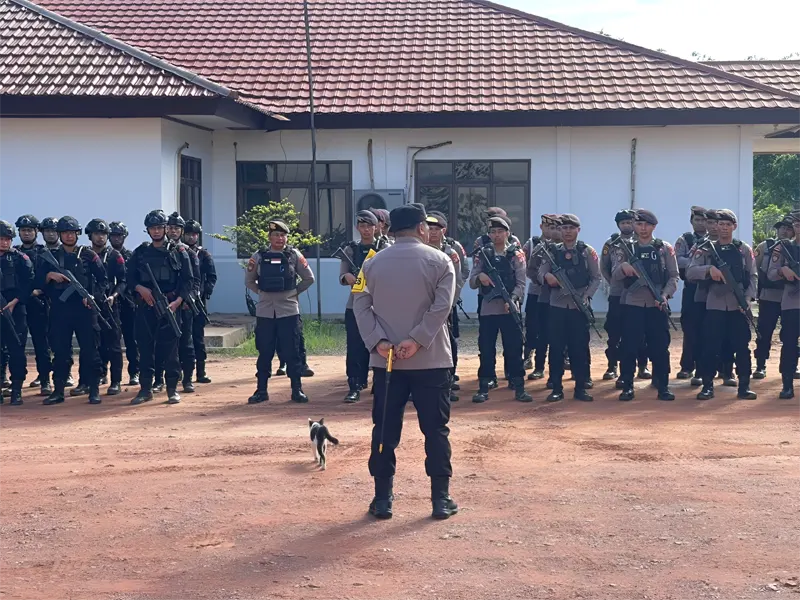 penjarahan sawit