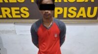 sabu pulpis