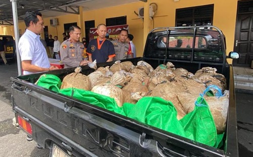 arak pangkalan bun