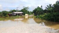 banjir lamandau