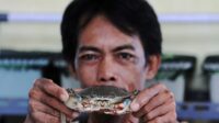 kepiting