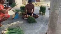 petani sayur