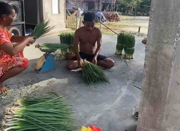 petani sayur