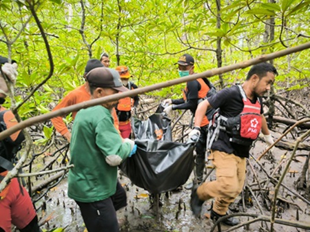 tewas di hutan bakau