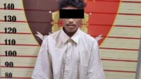 persetubuhan