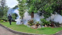 fogging demam berdarah