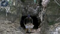 butuh kesabaran bekas galian dibawa dengan troli untuk dicek apakah ada fosil gigi megalodon
