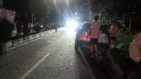 laka tunggal