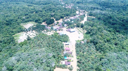 banjir kotim