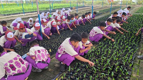 outing class 1