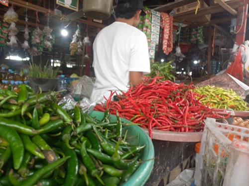 jual cabai