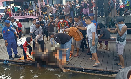 mayat sungai mentaya