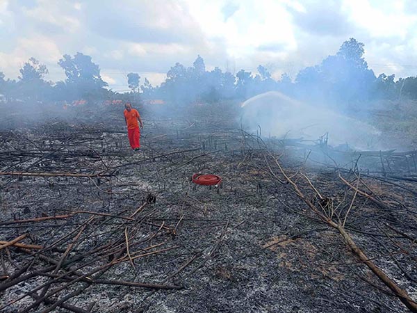 kebakaran lahan