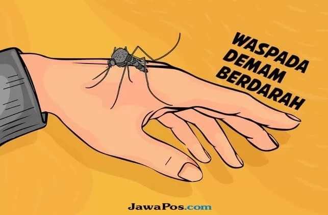ilustrasi dbd