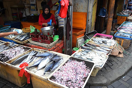 kebutuhan ikan