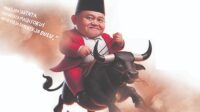 halikinnor naik banteng 1