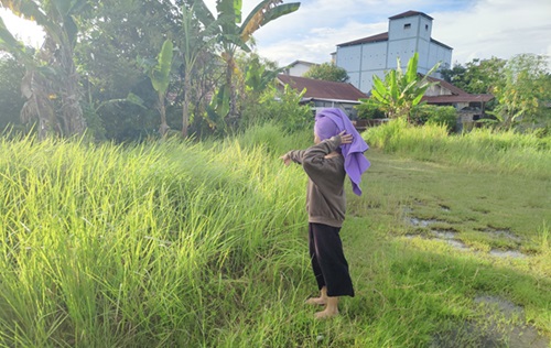 heboh