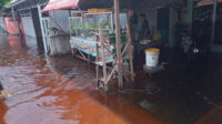penjual makanan