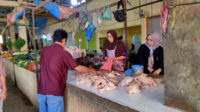 harga ayam