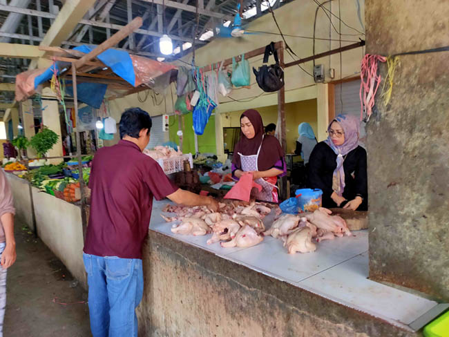 harga ayam
