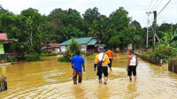 banjir lamandau