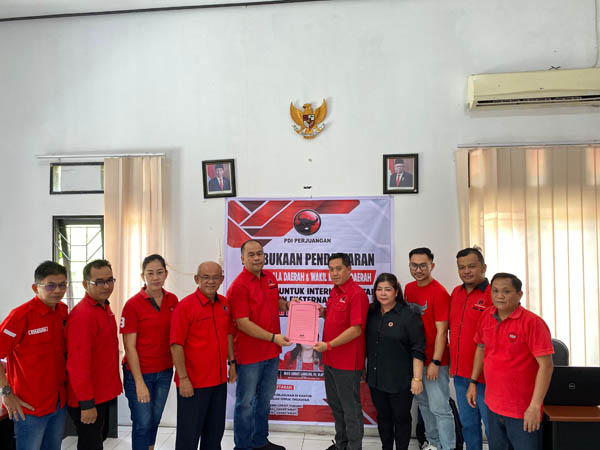 pdip