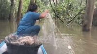 menjala ikan