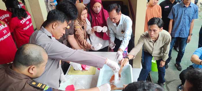barbuk sabu