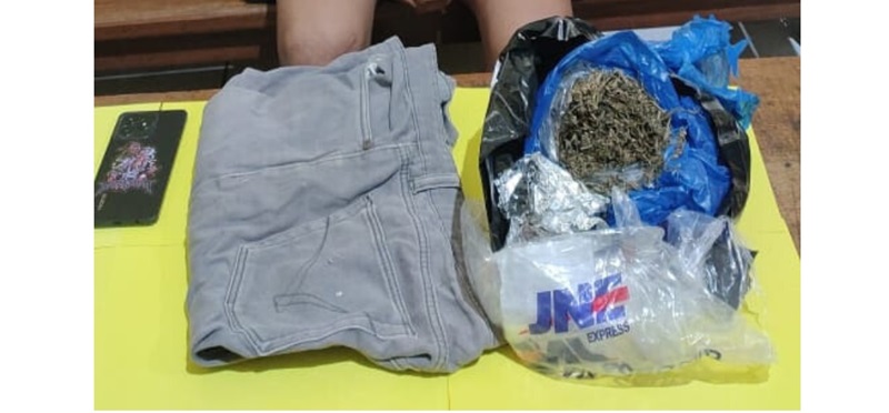 beli ganja 2