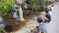 kolam pemancingan