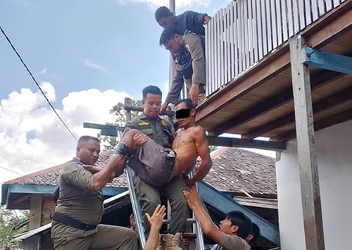 gila