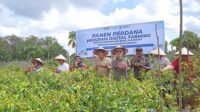 panen digital farming