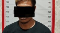 persetubuhan anak