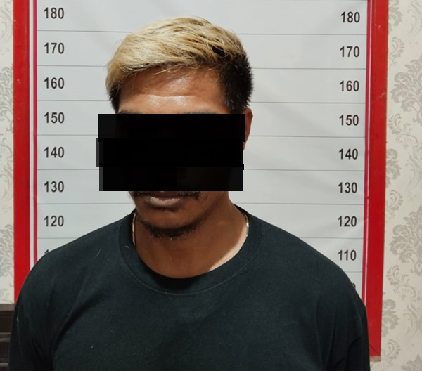 persetubuhan anak