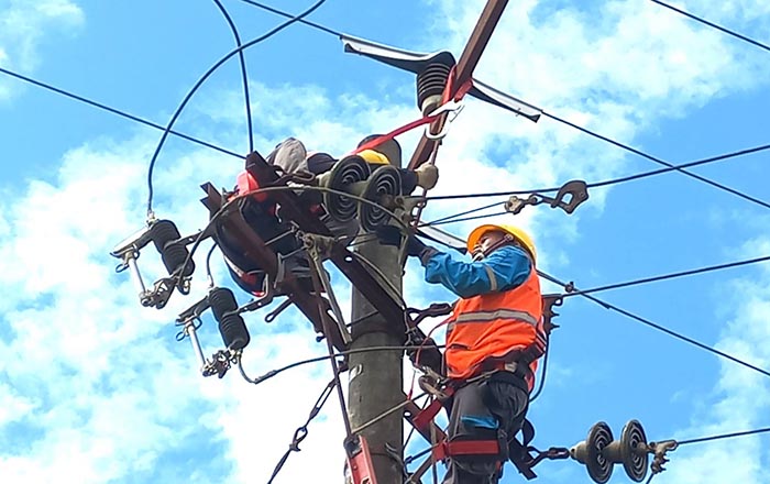 pln 1
