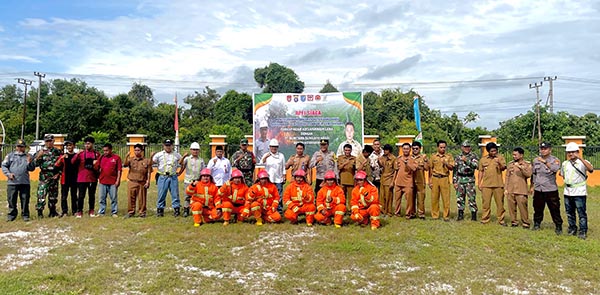 pt bga 2
