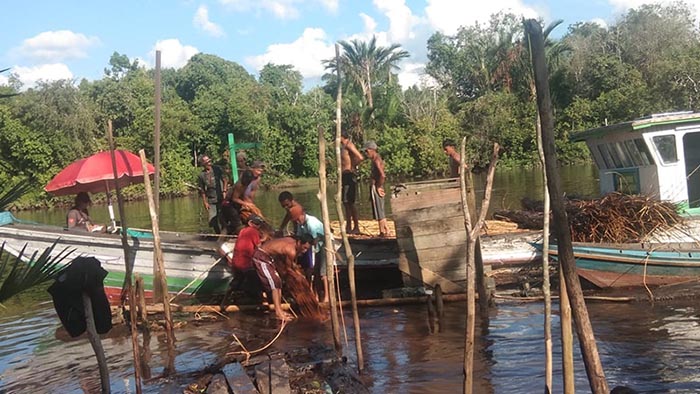 rotan sampit