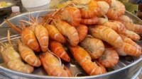 udang