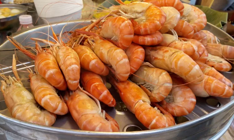 UDANG udang